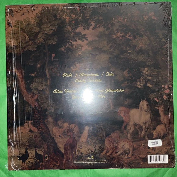 Lana Del Rey - Paradise 12” Standard Vinyl - Picture 5 of 6